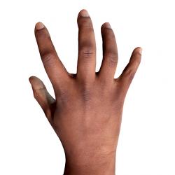 Aduba Retopo Hand Scan